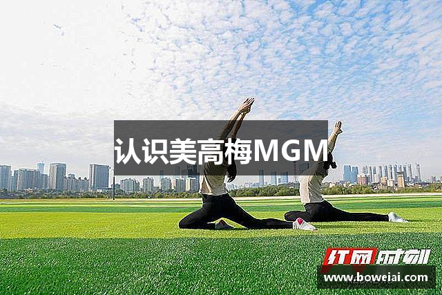 认识美高梅MGM